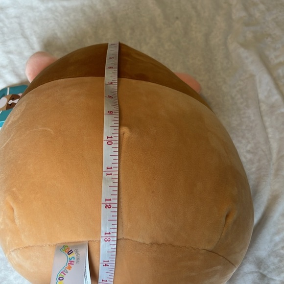 Garret the Guinea Pig Squishmallow - Picture 8 of 10